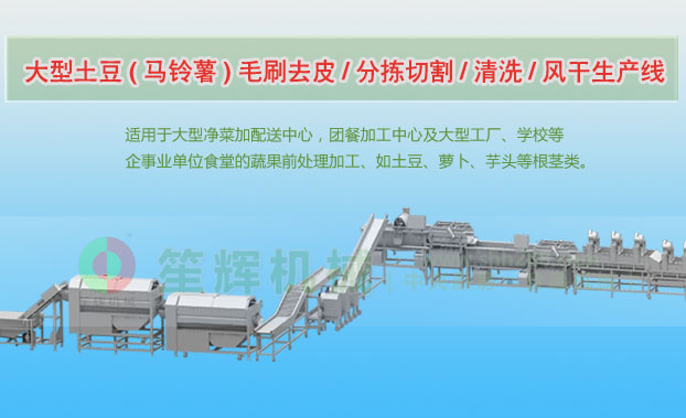 禅城连续式土豆去皮清洗切割风干生产线